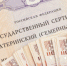 Ежемесячная выплата из маткапитала на Кубани будет перечисляться семьям в Единый день доставки. - Абинский муниципальный вестник