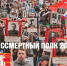 Депутат Демченко призвал кубанцев принять участие в «Бессмертном полку» - Газета Восход