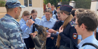 Безопасное поведение - Газета Восход